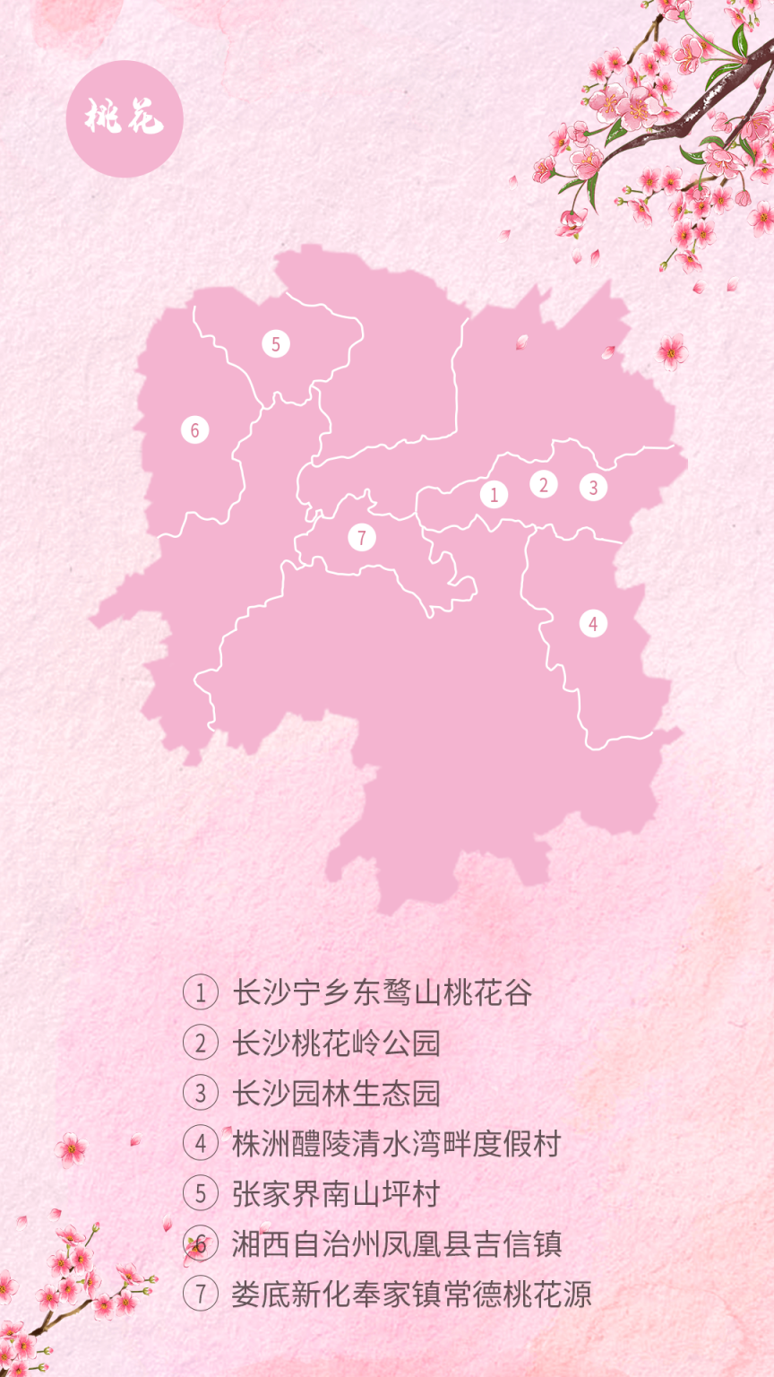 桃花.png